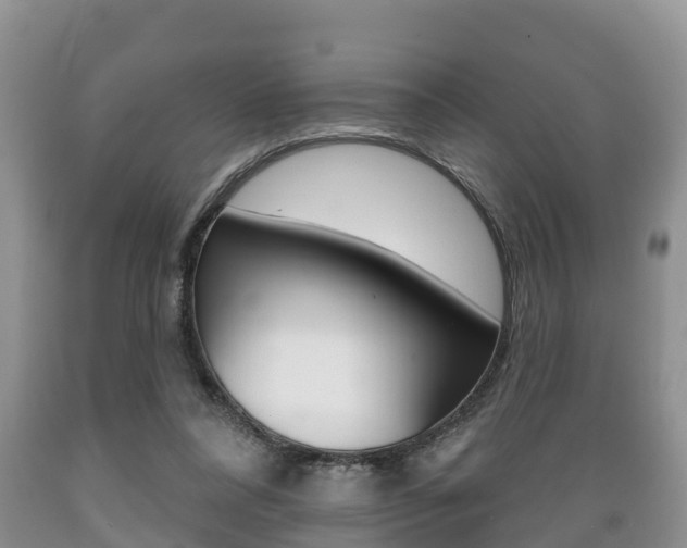 X0000089760304200706211000