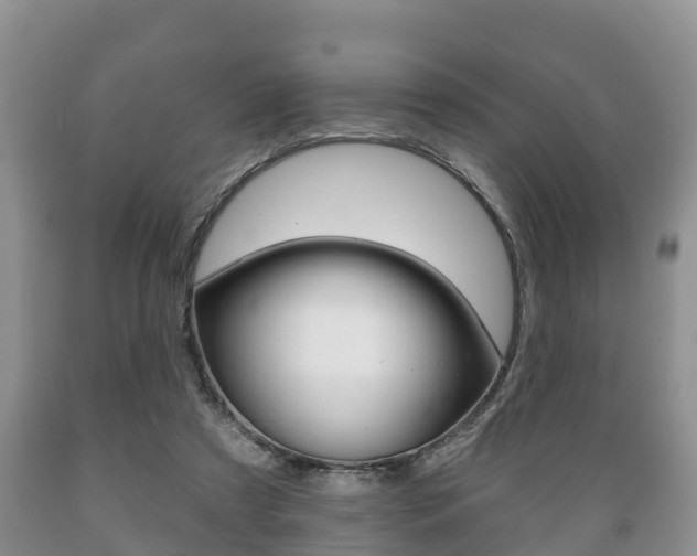 X0000089760305200706211000