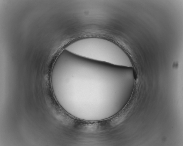 X0000089760306200706211000