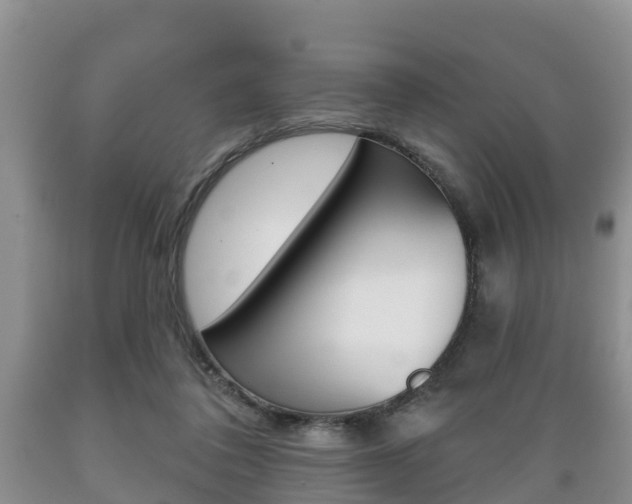 X0000089760308200706211000