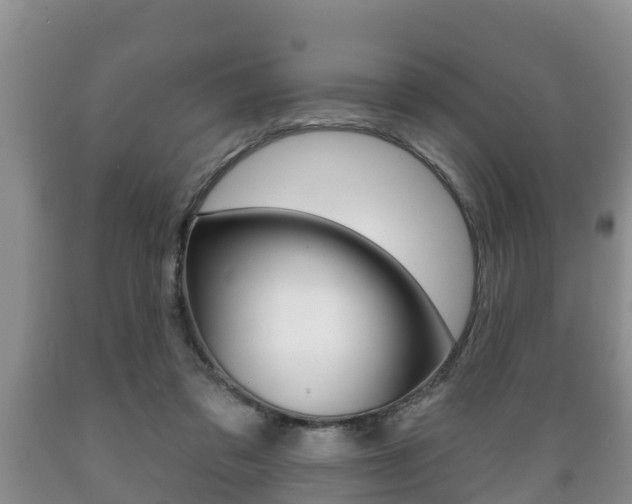 X0000089760309200706211000