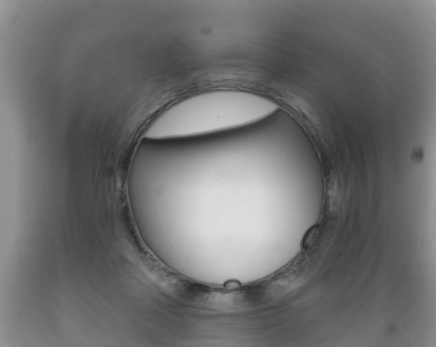 X0000089760314200706211000