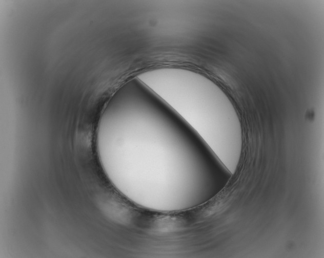 X0000089760315200706211000