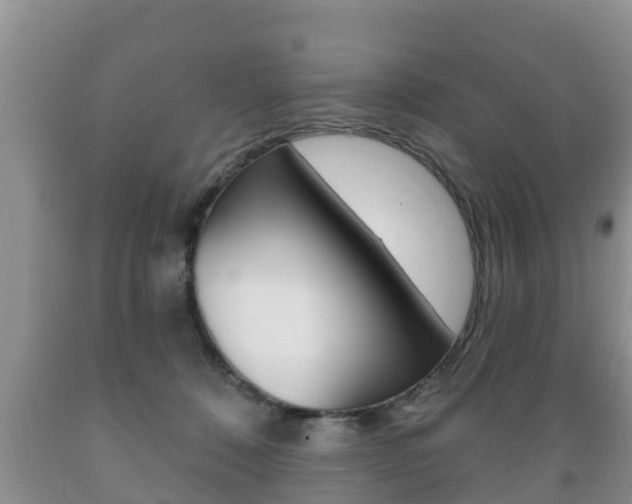 X0000089760320200706211000