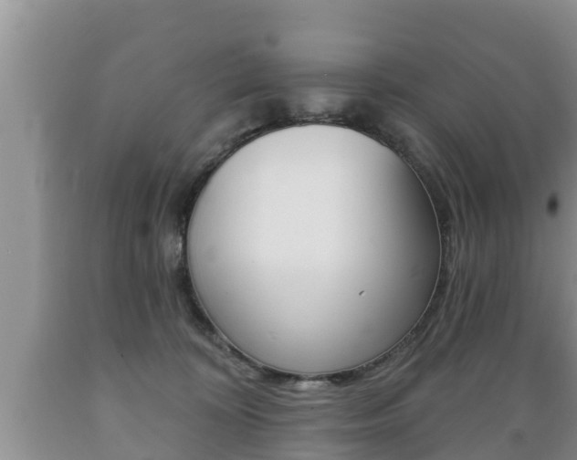 X0000089760324200706211000