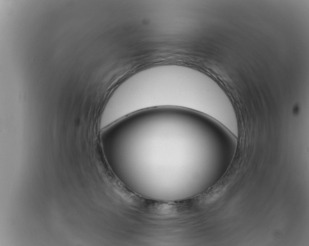 X0000089760325200706211000