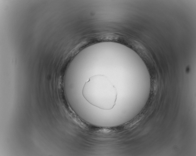 X0000089760326200706211000