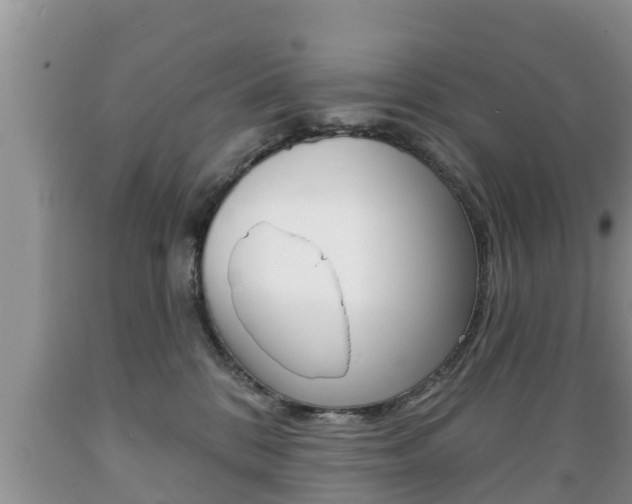 X0000089760328200706211000