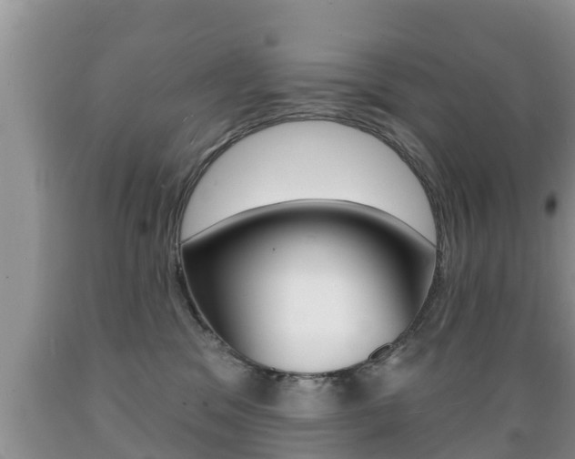 X0000089760329200706211000