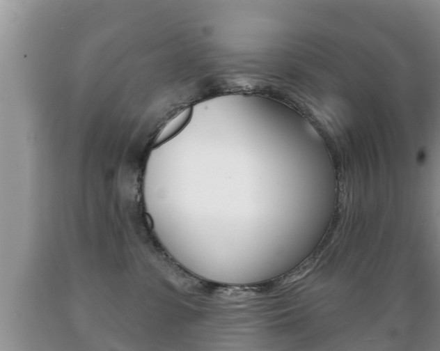 X0000089760331200706211000