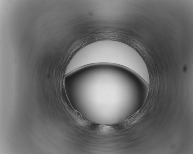 X0000089760333200706211000