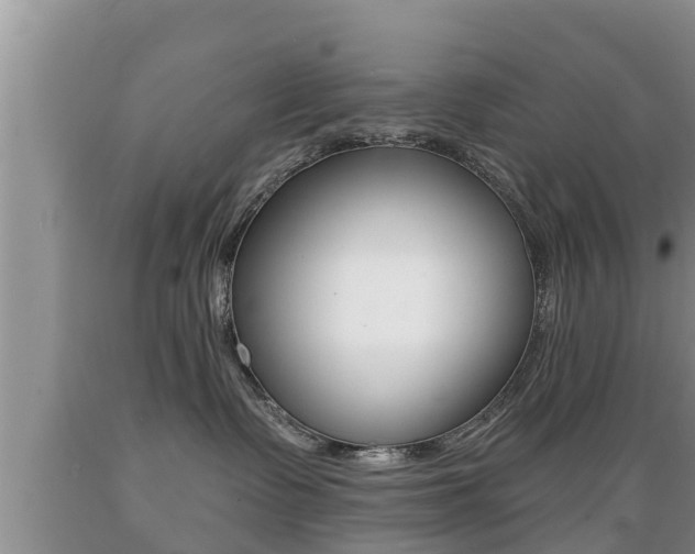 X0000089760335200706211000