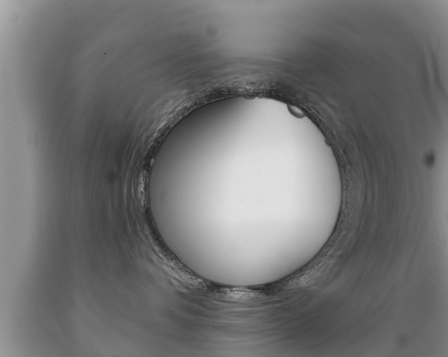 X0000089760336200706211000