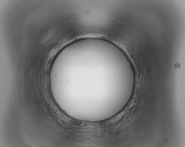 X0000089760337200706210959