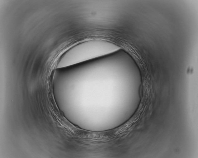 X0000089760338200706210959