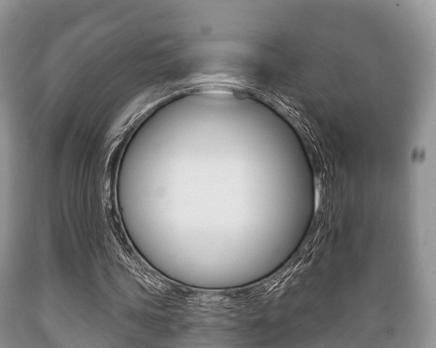 X0000089760339200706210959