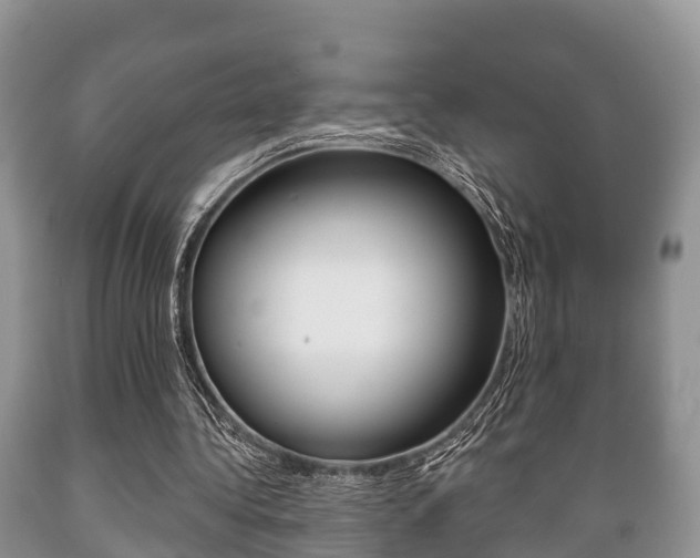 X0000089760340200706210959