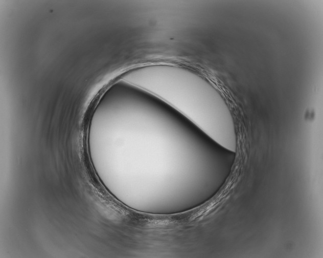 X0000089760342200706210959