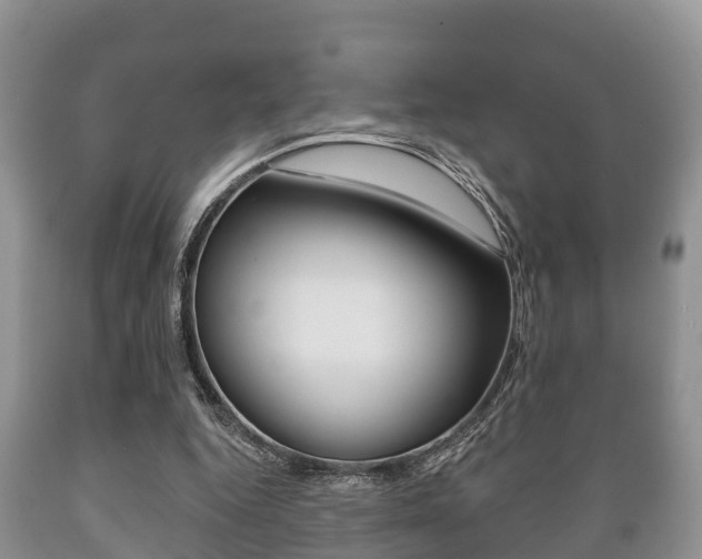 X0000089760344200706210959