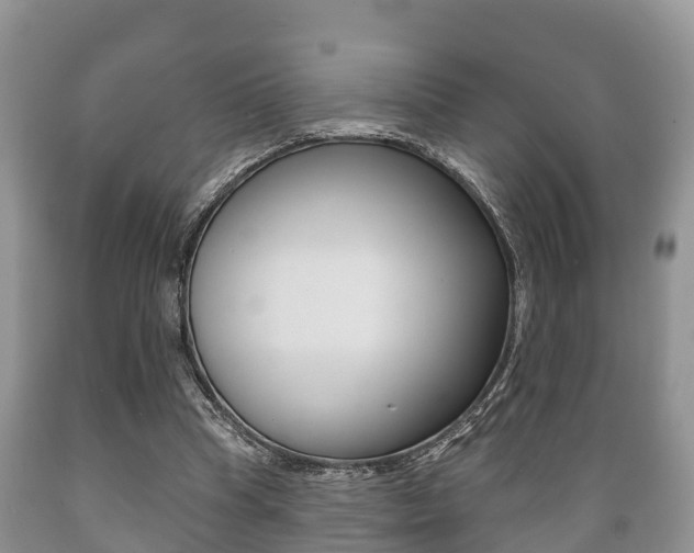 X0000089760345200706210959