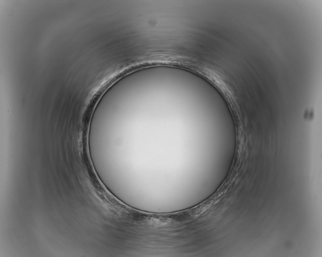 X0000089760346200706210959