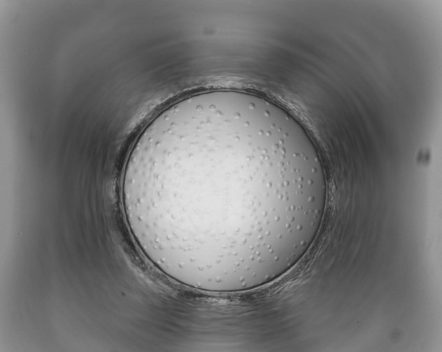 X0000089760347200706210959
