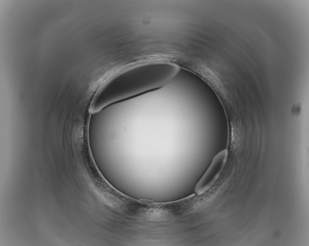 X0000089760348200706210959