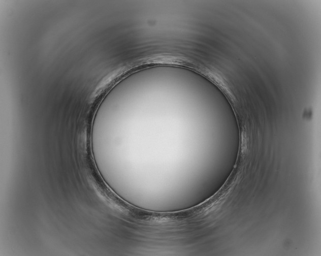 X0000089760349200706210959