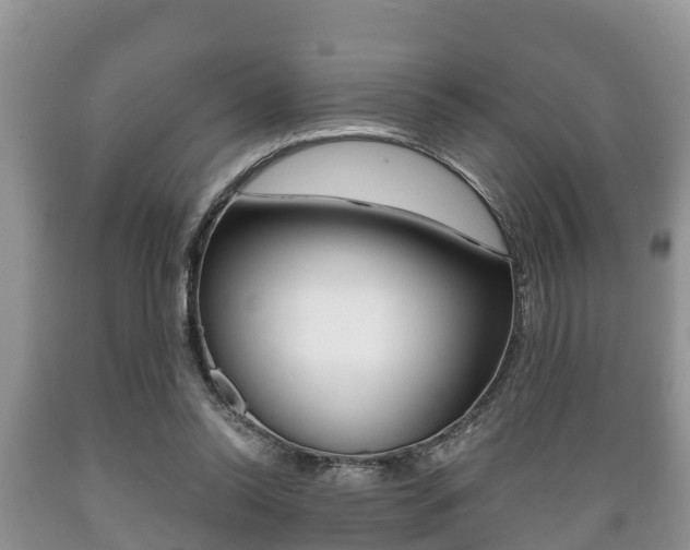 X0000089760350200706210959