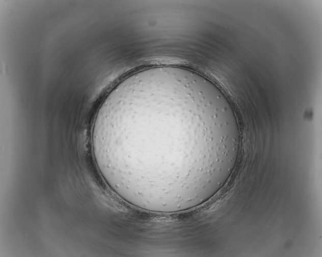 X0000089760351200706210959