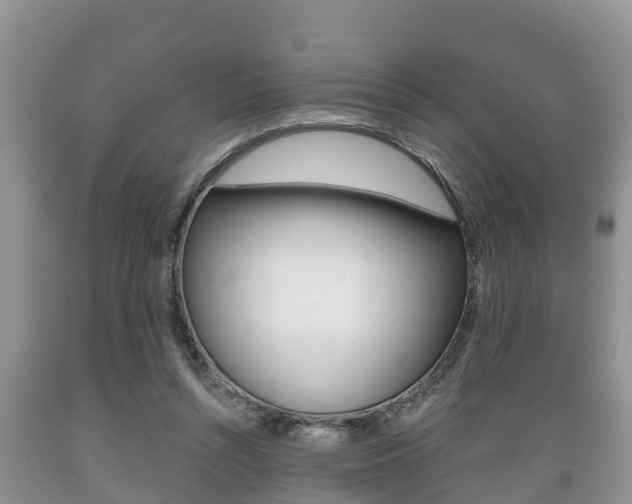 X0000089760352200706210959
