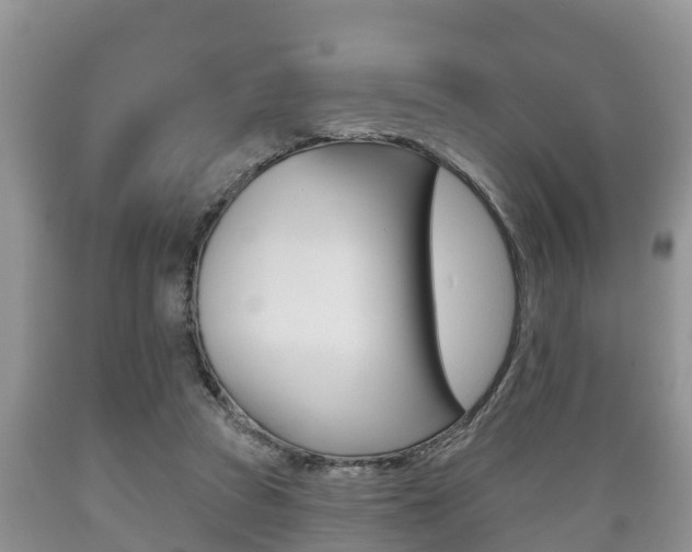 X0000089760353200706210959