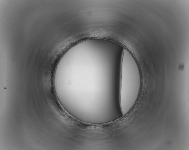 X0000089760354200706210959