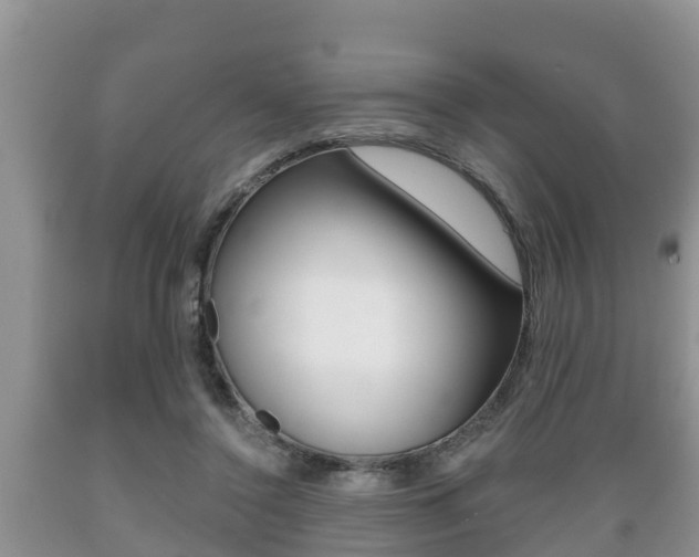 X0000089760356200706210959