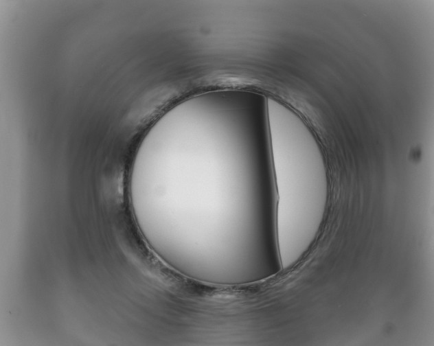 X0000089760358200706210959