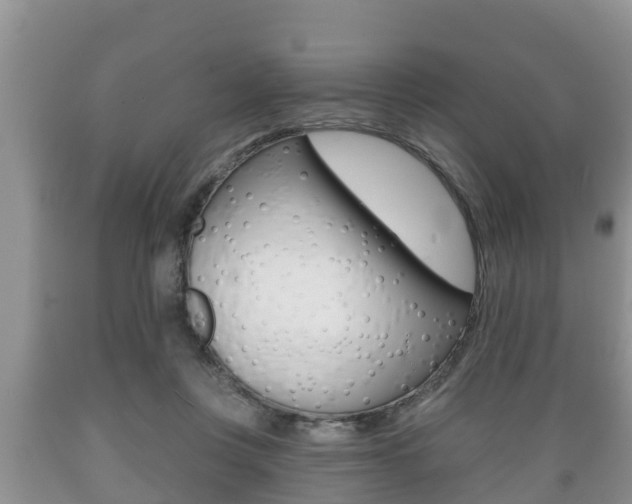 X0000089760359200706210959