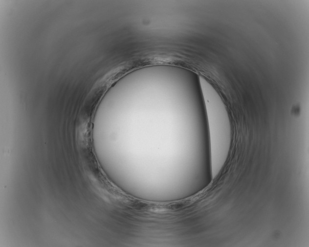 X0000089760360200706210959