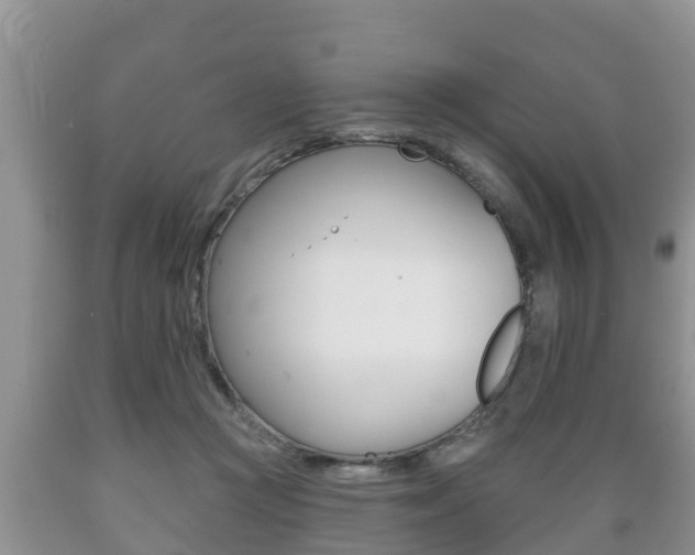 X0000089760361200706210959