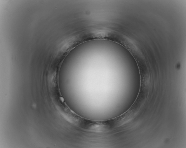 X0000089760364200706210959