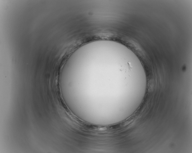 X0000089760365200706210959