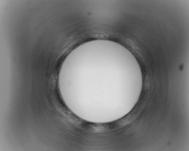 X0000089760370200706211000