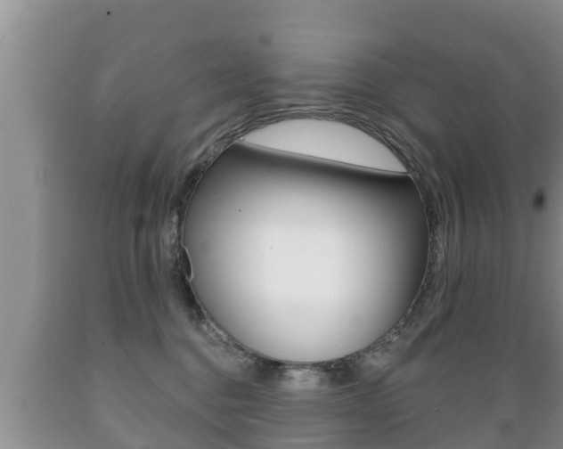 X0000089760376200706211000