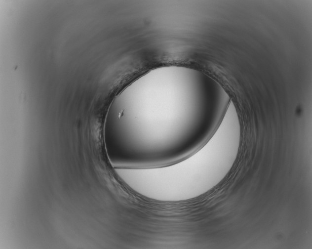 X0000089760380200706211000