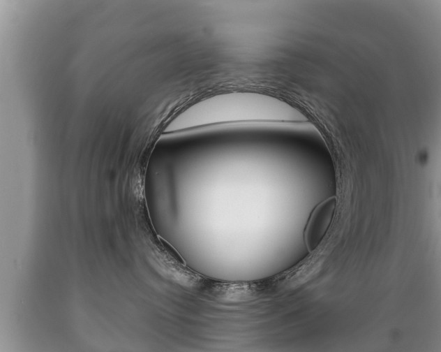 X0000089760384200706211000