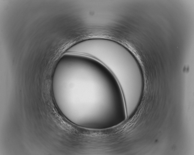 X0000089760385200706210959