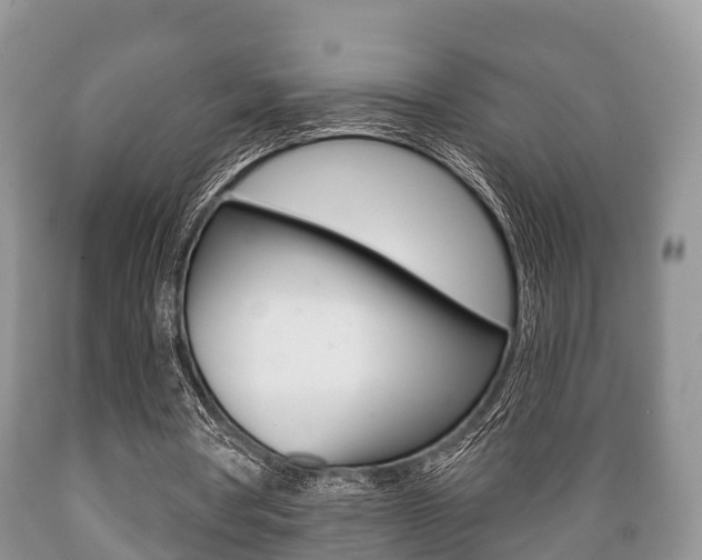 X0000089760386200706210959