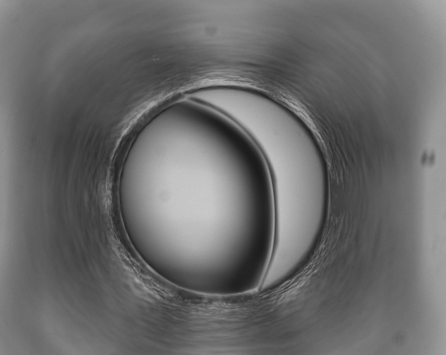 X0000089760387200706210959