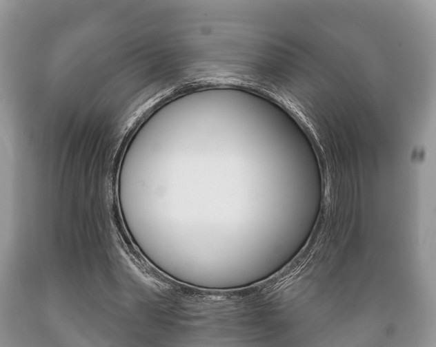 X0000089760390200706210959