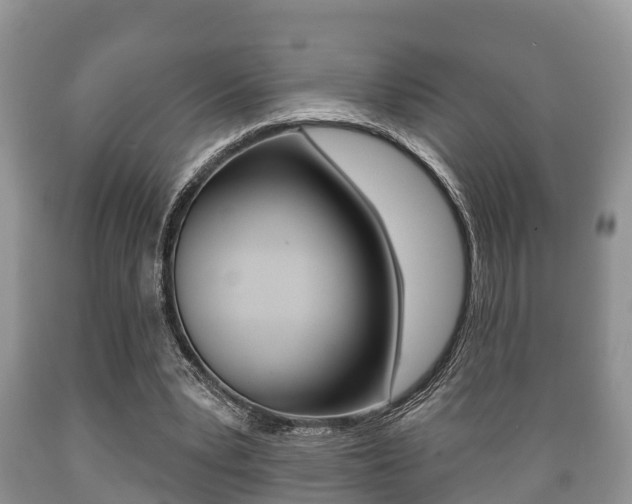 X0000089760391200706210959