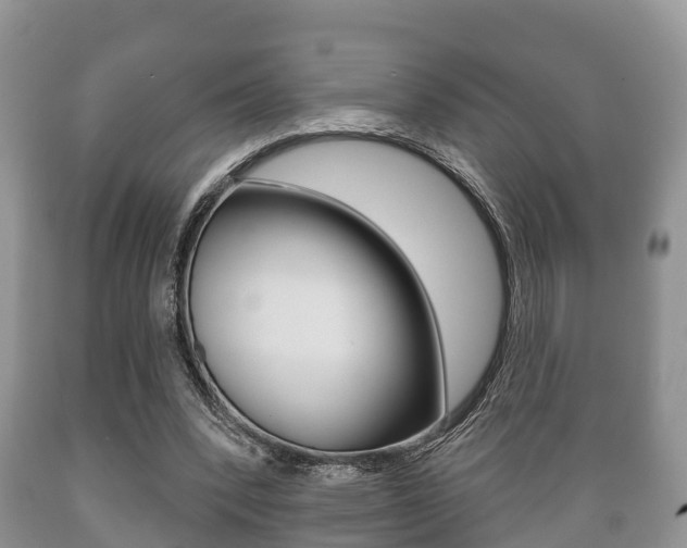 X0000089760392200706210959